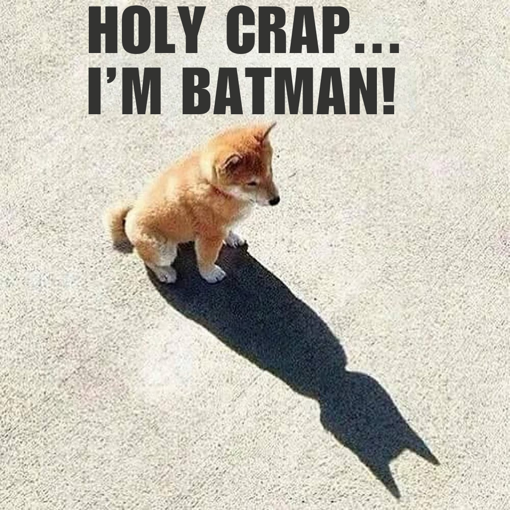 THAT MOMENT WHEN YOUR SHADOW HAS MORE AMBITION THAN YOU